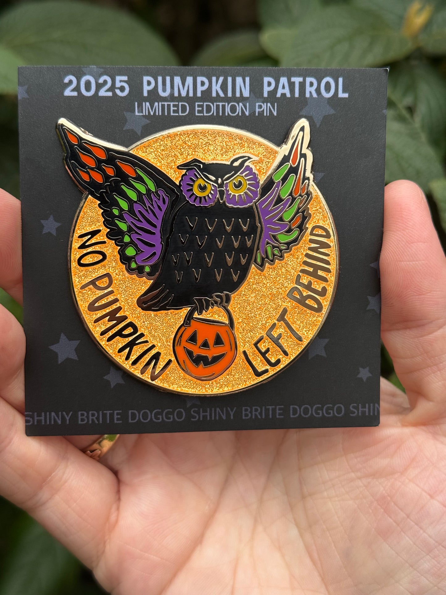 2025 NPLB Enamel Pin